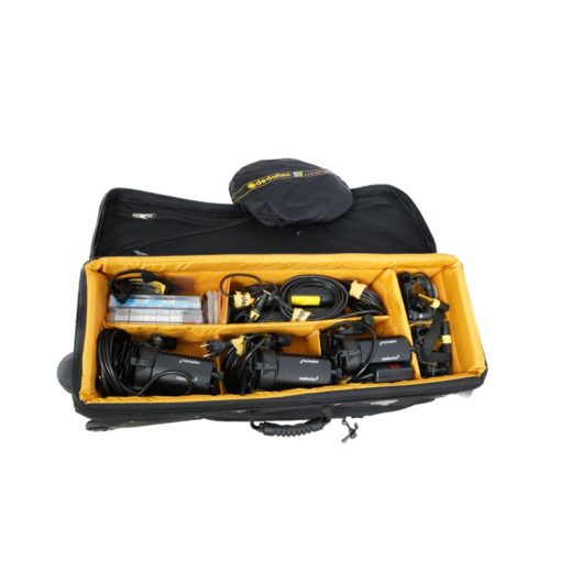 DLHM4-300 - Classic dedolight with integrated ballast - 24v, 150 SET